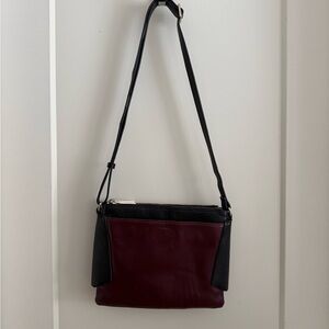 Danier Leather Burgundy and Black Bag